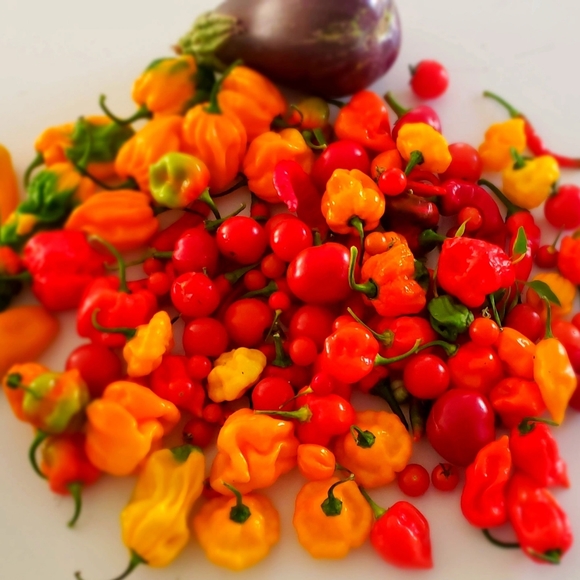 Claire's closet - Picture 12 of 13